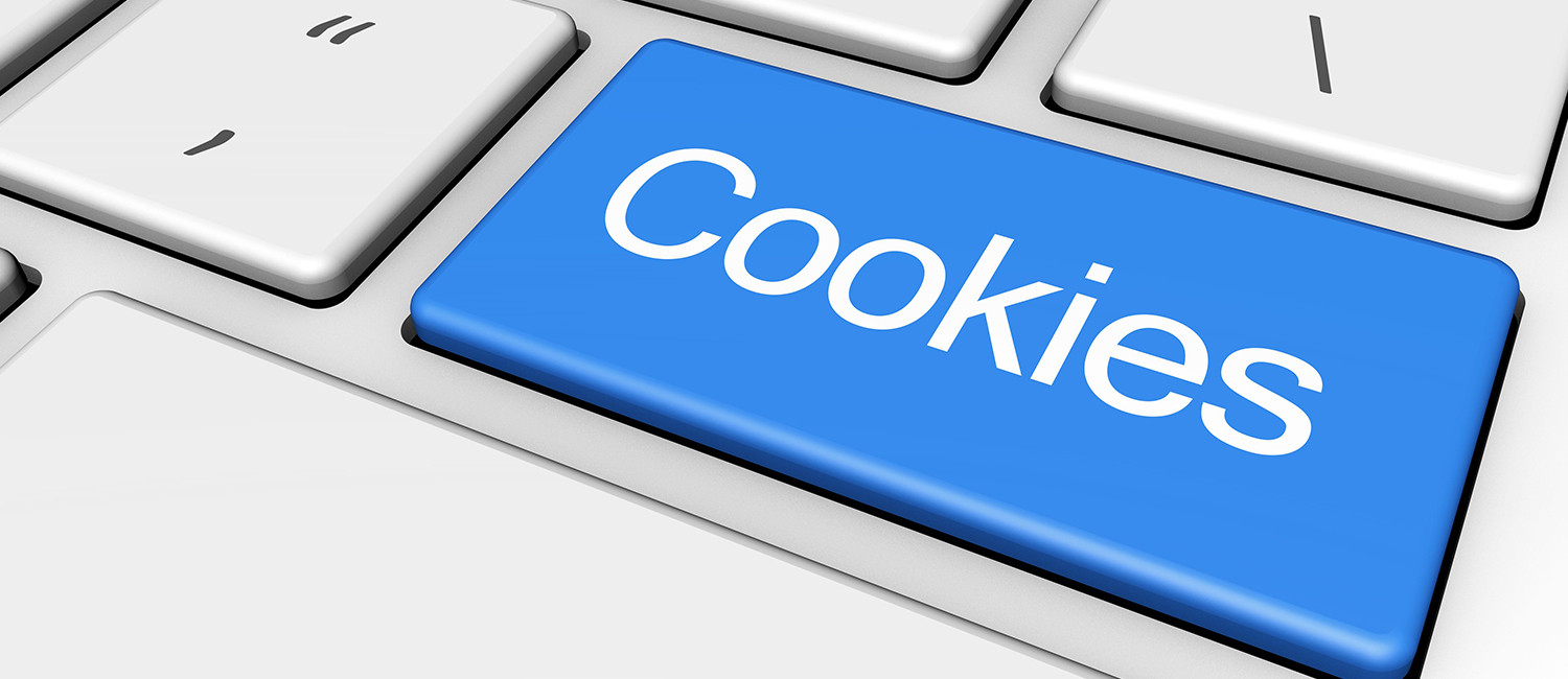 Website Cookie Policy For Philadelphia Suites Extended Stay Hotel